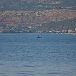 Apartments And Room Novokmet * Rogoznica (Sibenik-Knin)