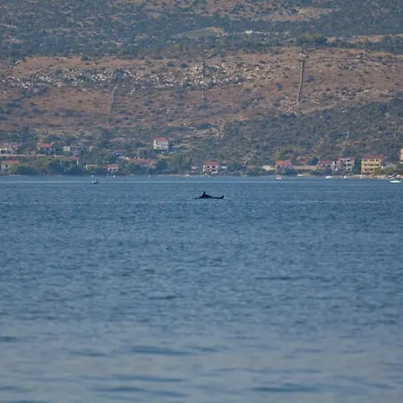 Viktor * Rogoznica (Sibenik-Knin)