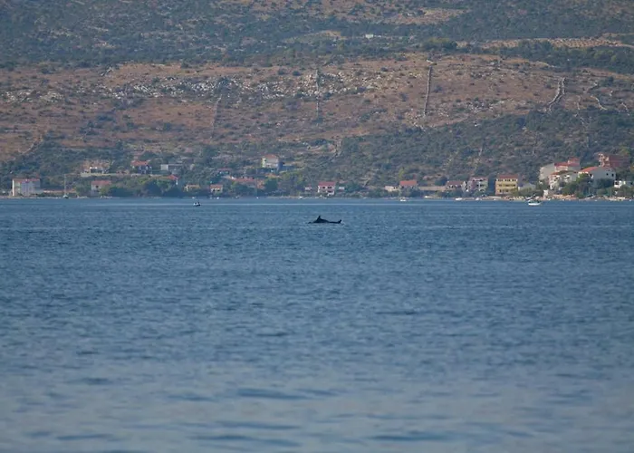 Viktor * Rogoznica (Sibenik-Knin)